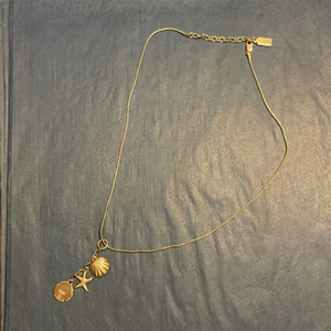 Baroni designs 925 silver necklace